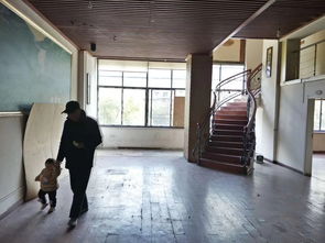 建筑材料概覽 從傳統到現代的演變與選擇