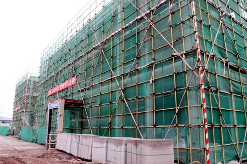 喜訊！龍馬潭大型建材產業物流港建設迎來新進展