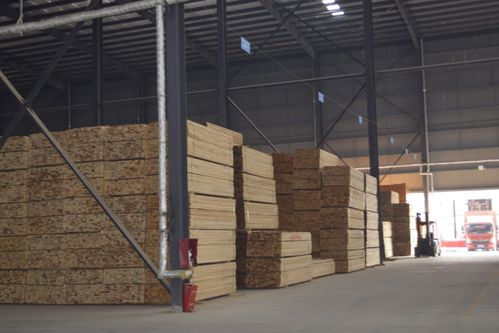 鄭州建材模板市場(chǎng)再迎巨擘，華豐·榮俊模板中心璀璨開(kāi)業(yè)